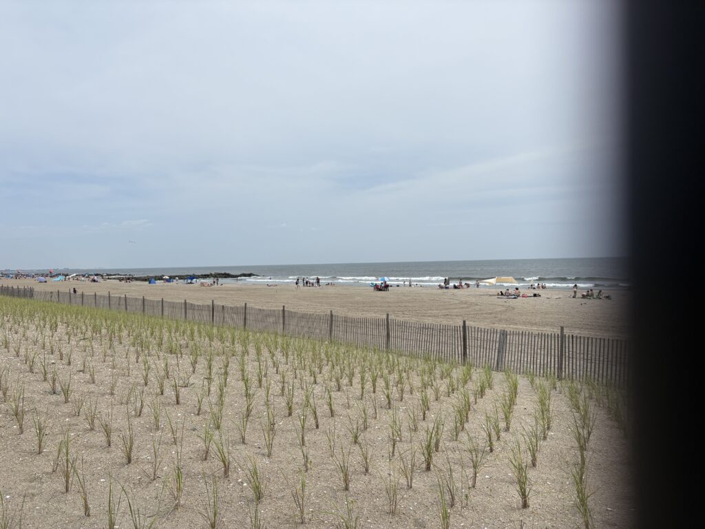 a beach with a fence and a field with a beach in the background (MyCoast AI)