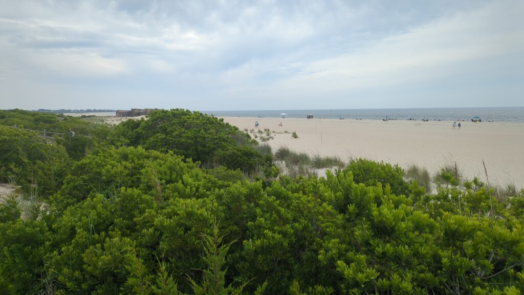 a beach with trees and water (MyCoast AI)