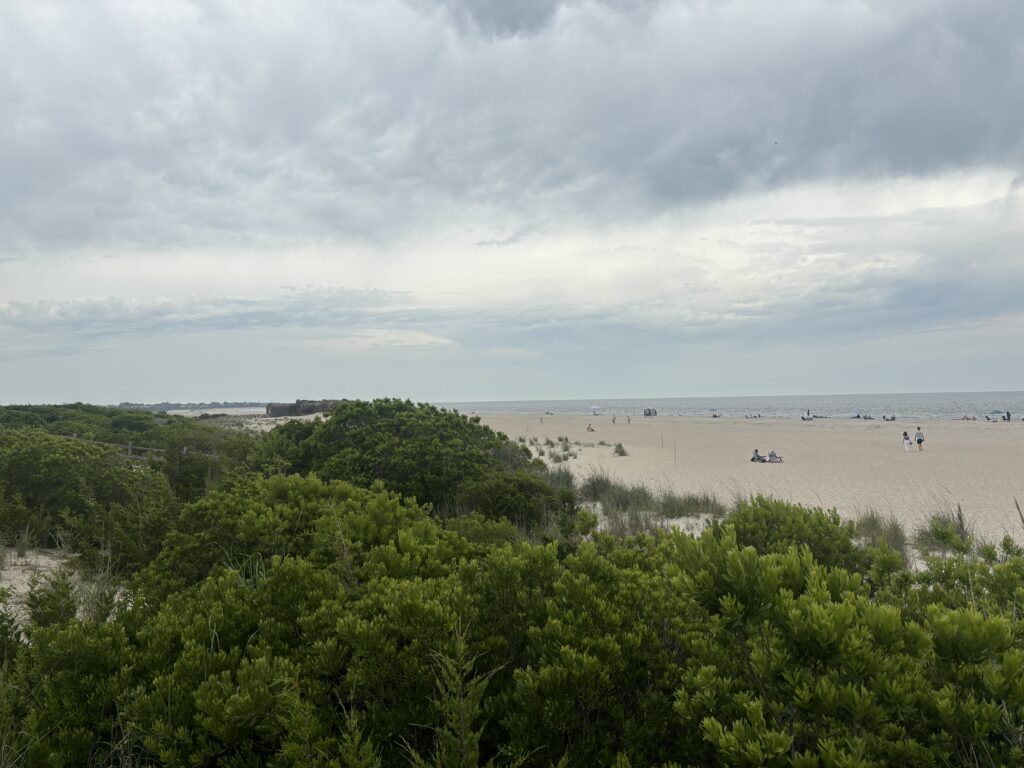 a beach with trees and bushes (MyCoast AI)