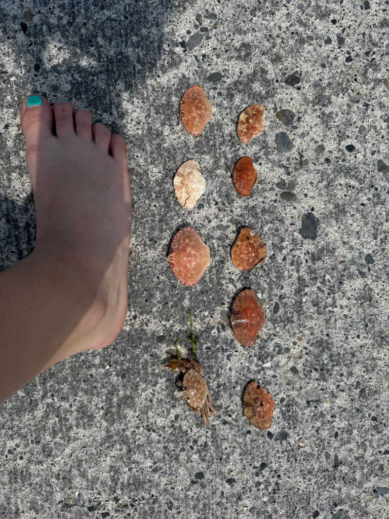 a foot on a grey surface (MyCoast AI)