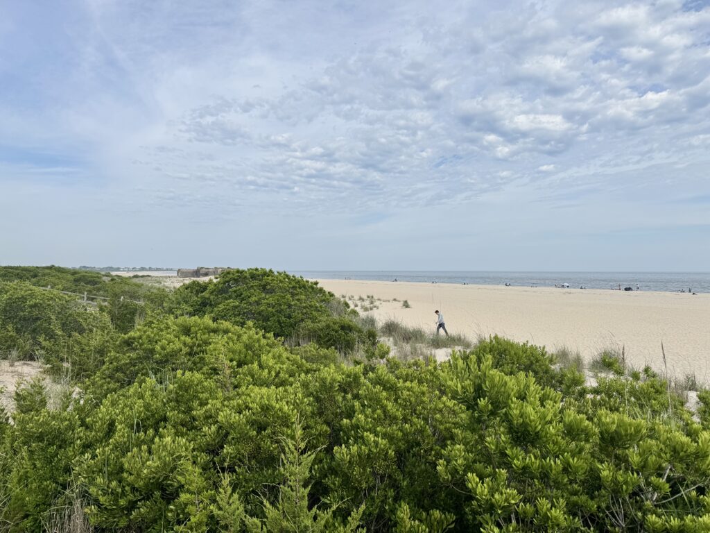 a person walking on a beach (MyCoast AI)