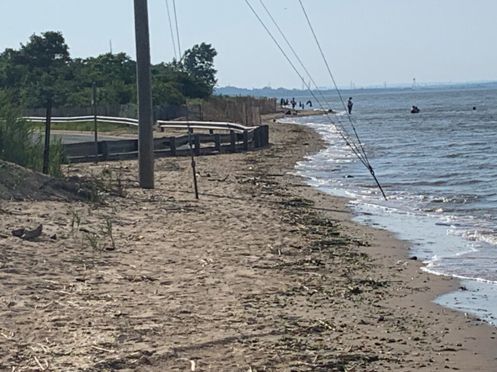 a beach with a pier and a body of water (MyCoast AI)