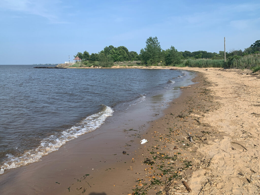 a sandy beach with trees and water (MyCoast AI)