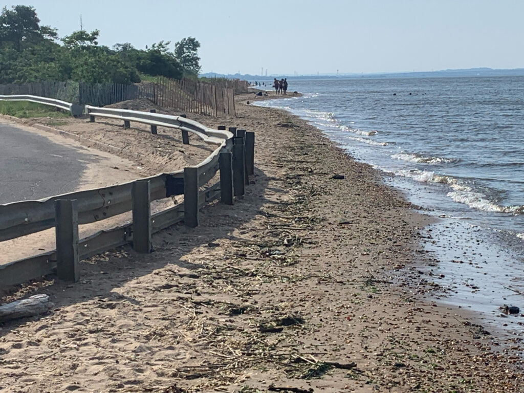 a bench on a beach (MyCoast AI)