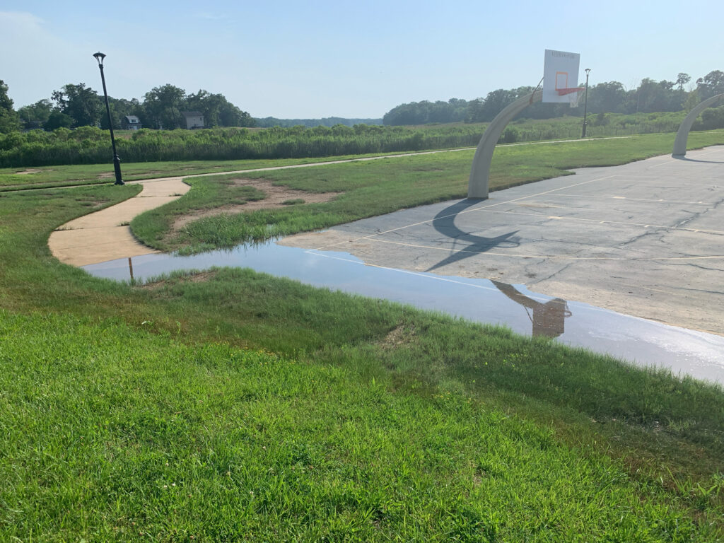 a concrete walkway with grass and a puddle (MyCoast AI)