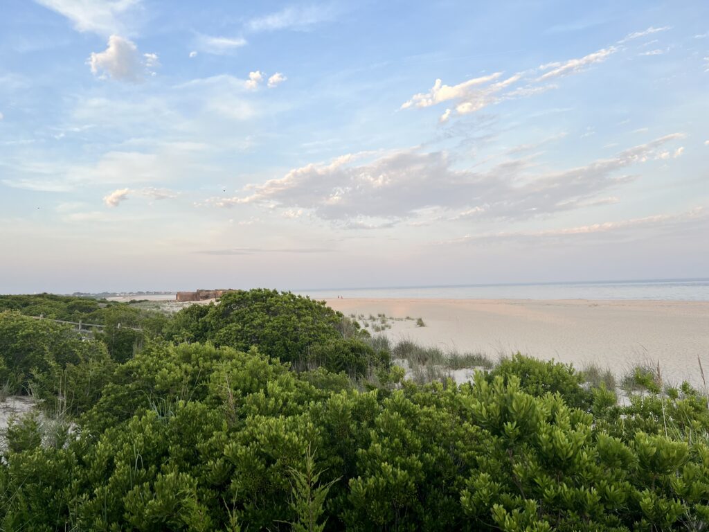 a beach with trees and water (MyCoast AI)