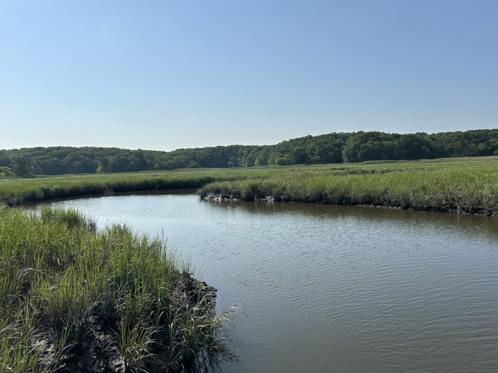 a body of water with grass and trees around it (MyCoast AI)