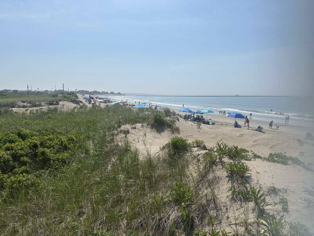 a beach with people and umbrellas (MyCoast AI)