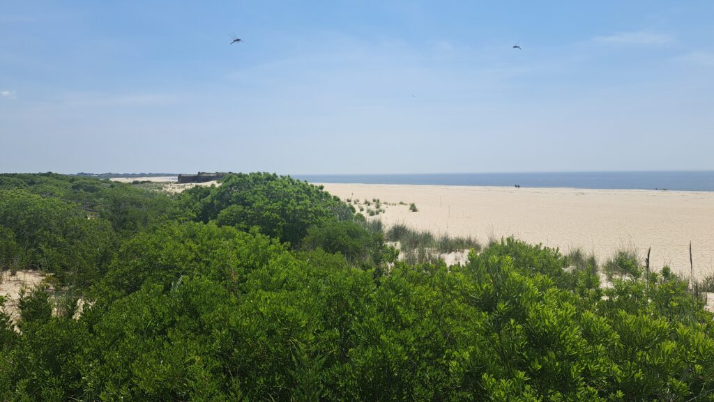 a landscape with trees and a body of water in the background (MyCoast AI)