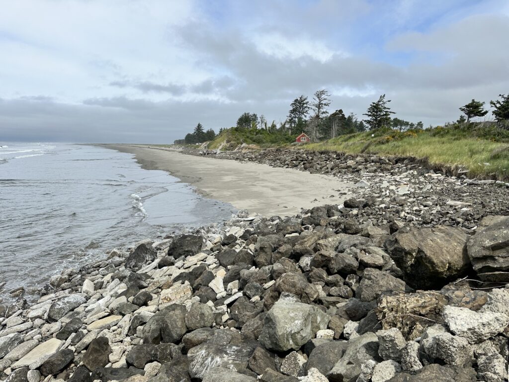 a rocky beach with trees and a body of water (MyCoast AI)