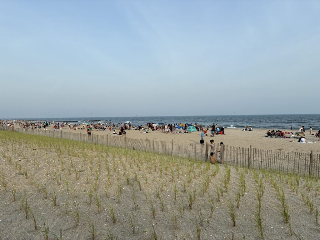 a beach with people and a fence (MyCoast AI)
