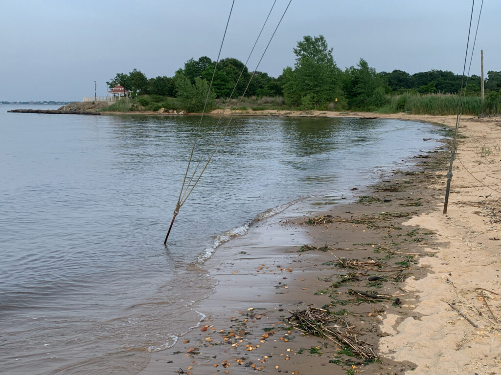 a beach with a body of water (MyCoast AI)