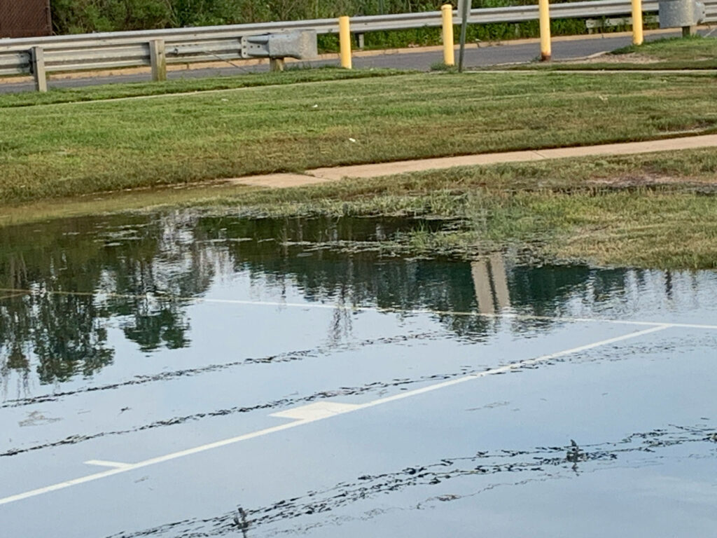 a pond with grass and a fence (MyCoast AI)
