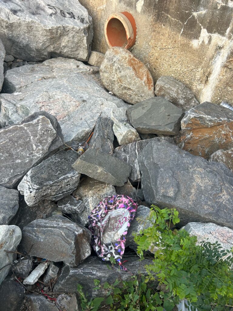 a bag of flowers on rocks (MyCoast AI)