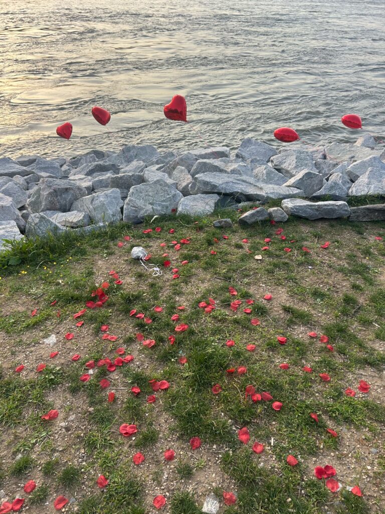 a field of red flowers next to a body of water (MyCoast AI)