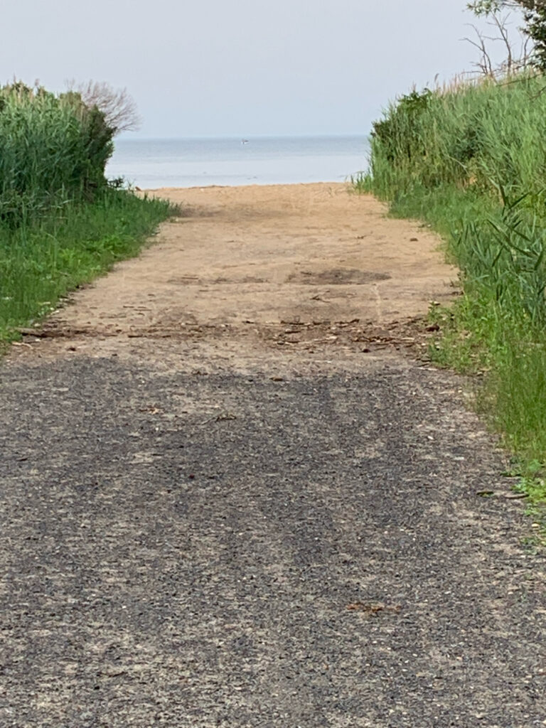 a dirt path leading to a beach (MyCoast AI)