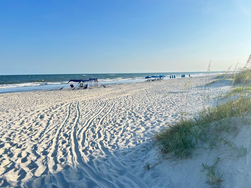 a beach with a bench and a body of water (MyCoast AI)