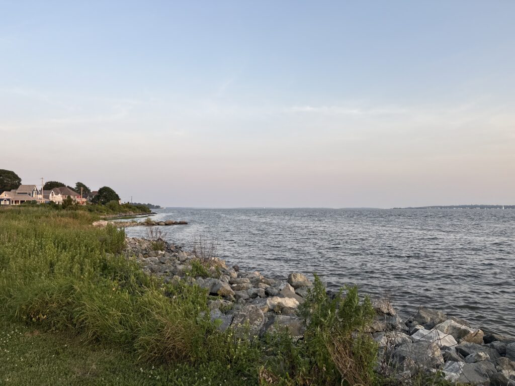 a rocky shore with a body of water and houses in the background (MyCoast AI)