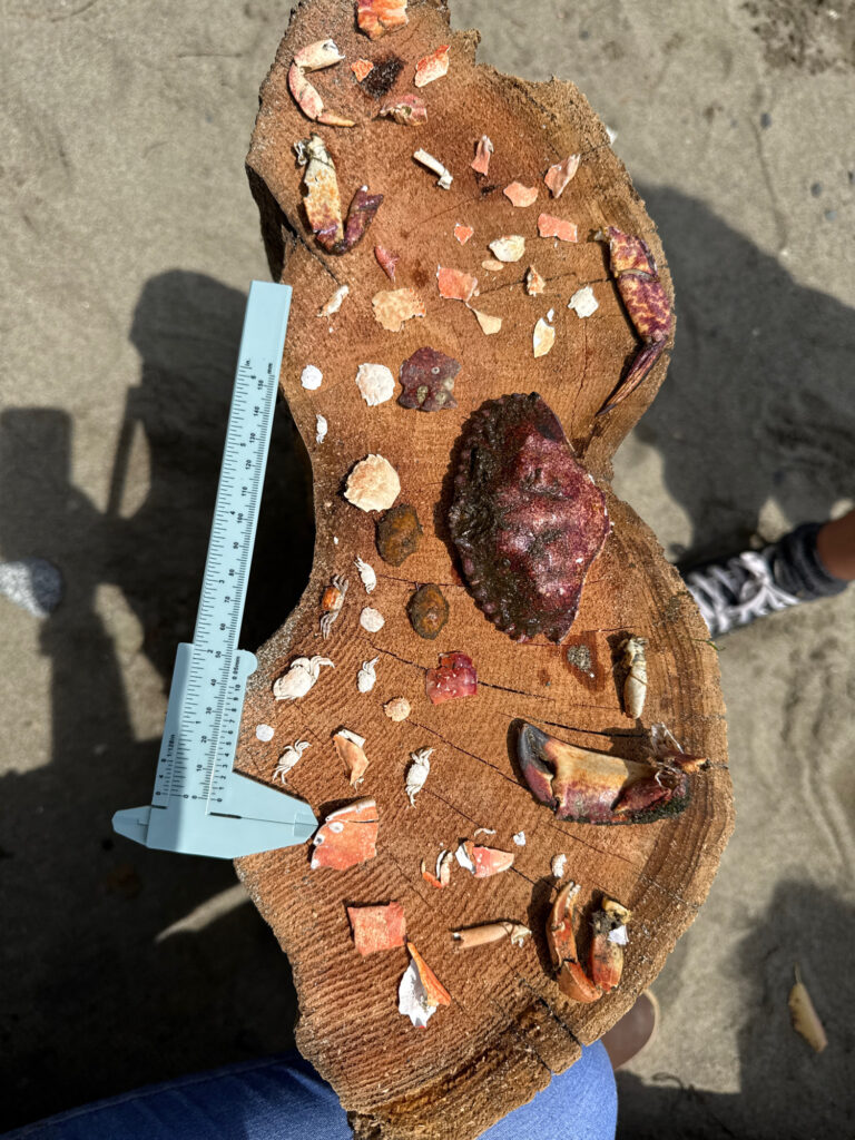 a person holding a piece of bread (MyCoast AI)