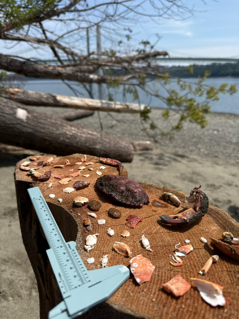 a tablet on a table (MyCoast AI)