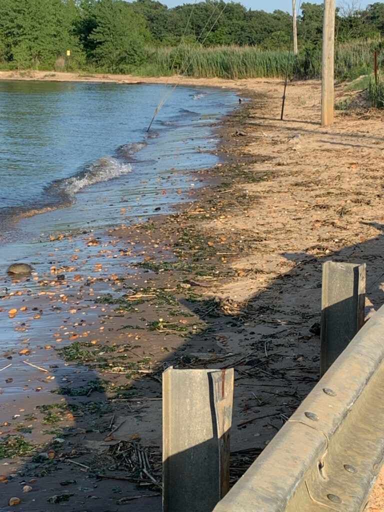 a muddy river with a wooden fence (MyCoast AI)