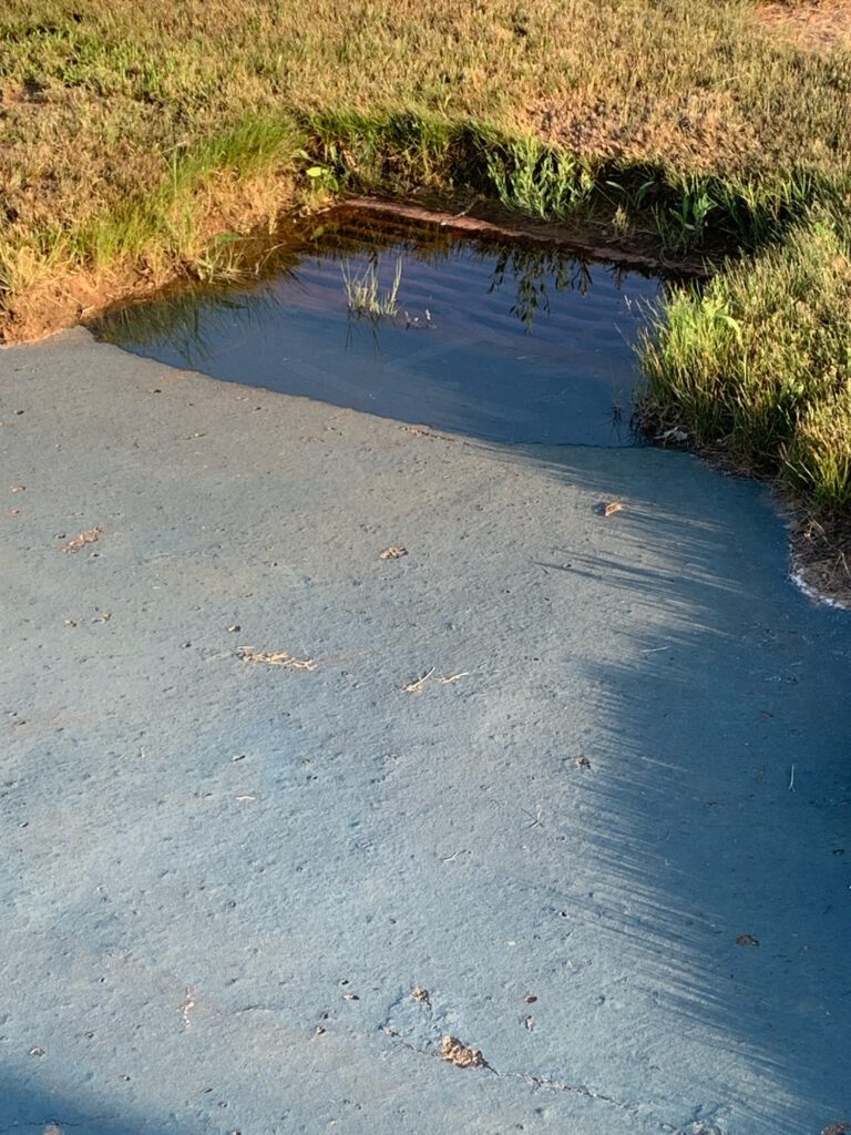 a small pond with grass and a small puddle of water (MyCoast AI)