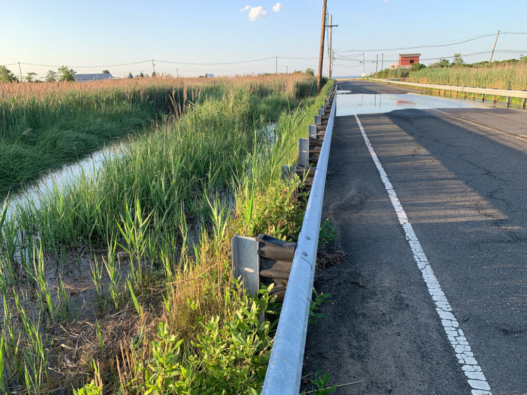 a road with water on the side (MyCoast AI)
