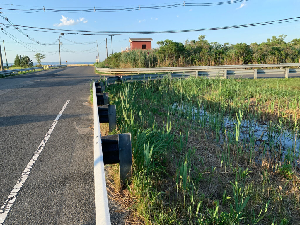a road next to a field (MyCoast AI)