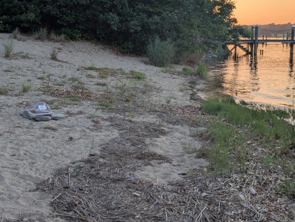 a sandy beach with a bridge (MyCoast AI)