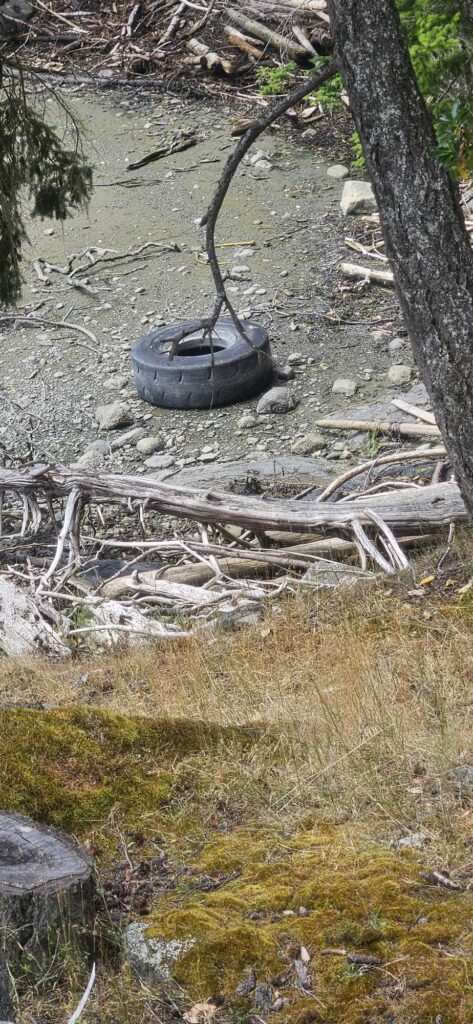 a tire on a tree (MyCoast AI)
