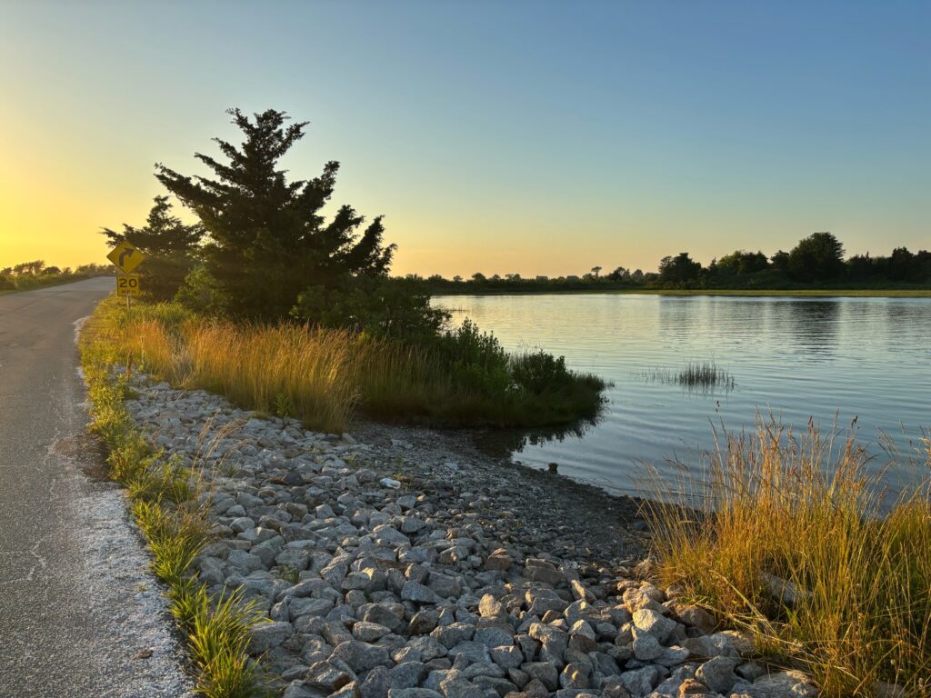 a path next to a body of water with rocks and grass on the side (MyCoast AI)