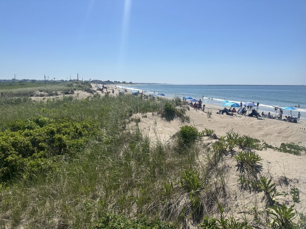 a beach with people and umbrellas (MyCoast AI)