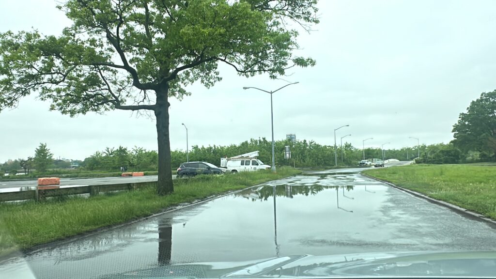a wet road with a tree and cars on it (MyCoast AI)