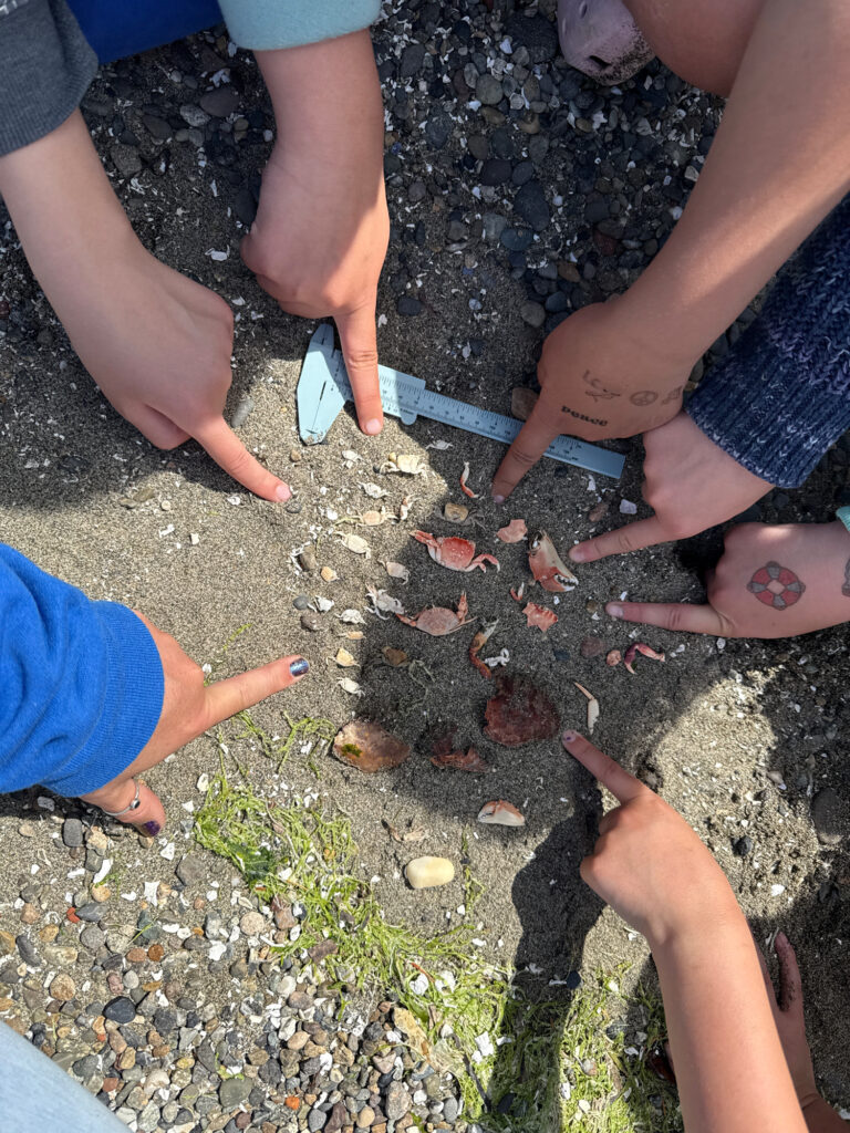 a group of people digging in the dirt (MyCoast AI)