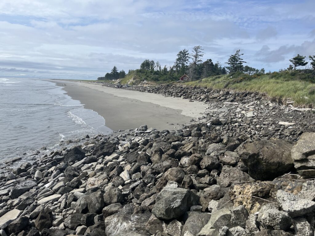 a rocky beach with a body of water and trees (MyCoast AI)