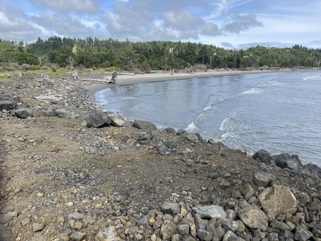 a rocky beach with trees in the background (MyCoast AI)