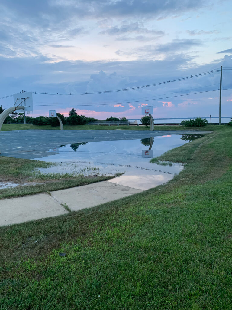 a body of water with grass and a sidewalk by it (MyCoast AI)