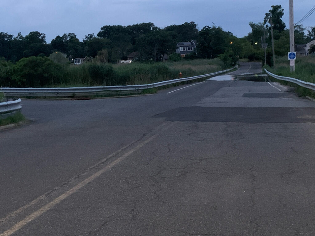 a road with trees on the side (MyCoast AI)