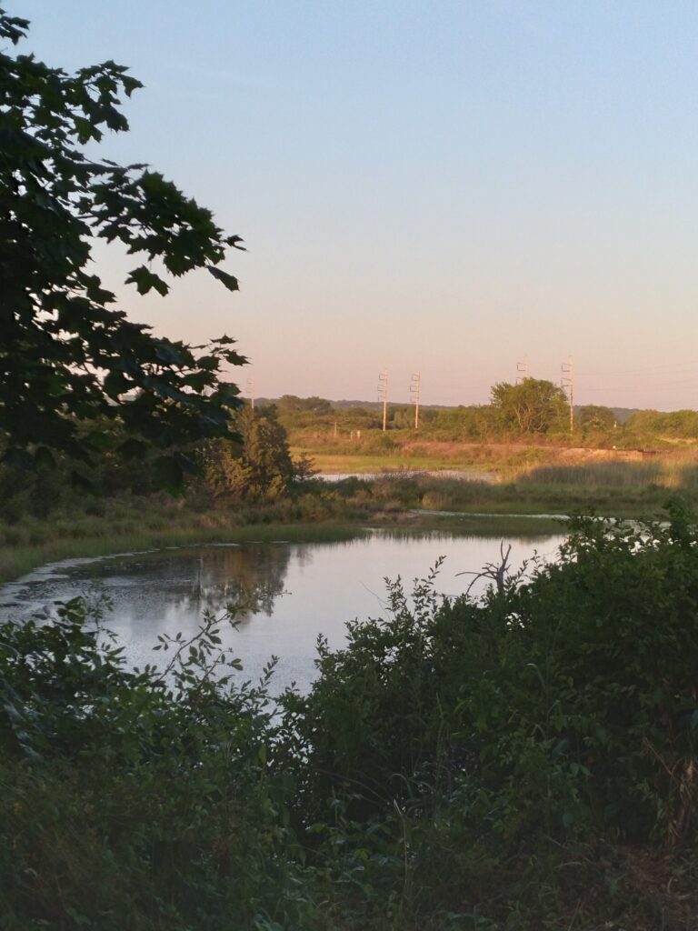 a river with grass and trees (MyCoast AI)