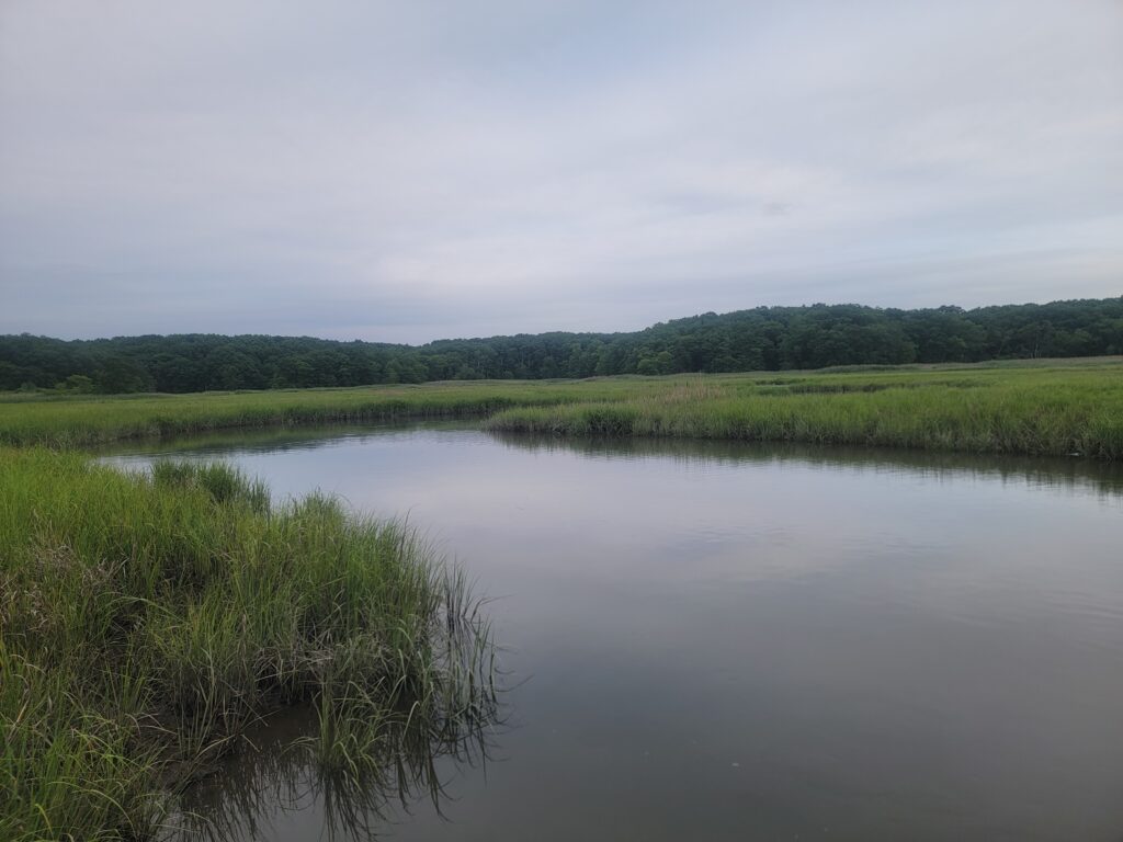 a body of water with grass and trees around it (MyCoast AI)