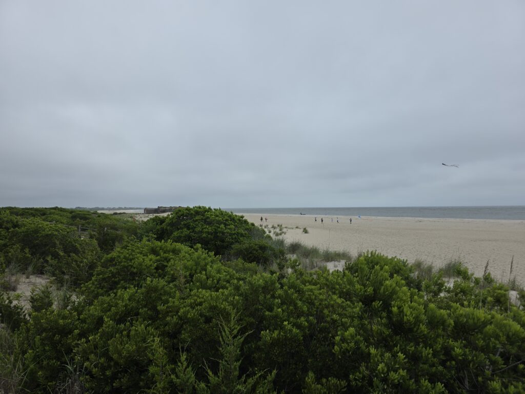 a beach with trees and a bird flying in the sky (MyCoast AI)