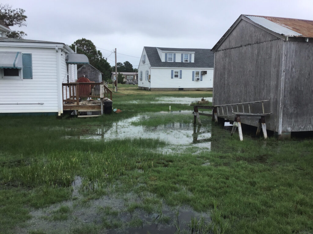 a muddy area with buildings in the background (MyCoast AI)