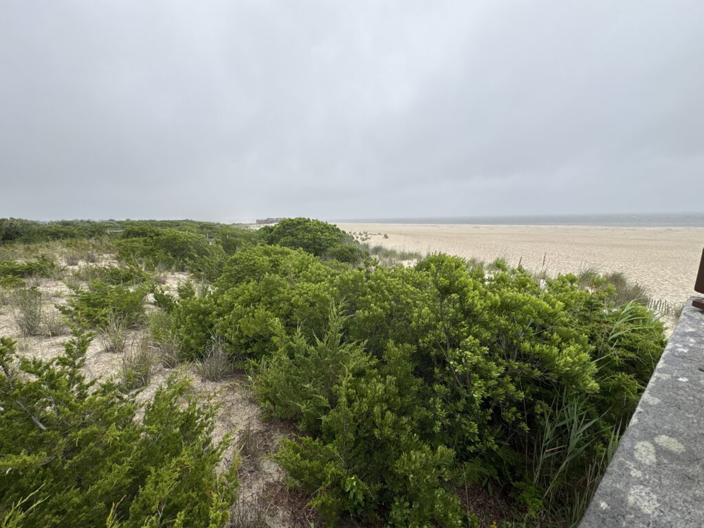a landscape with trees and bushes (MyCoast AI)