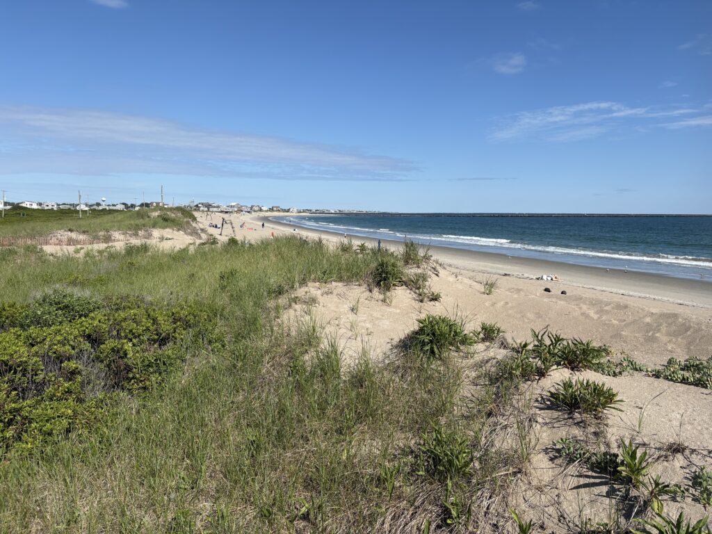 a beach with grass and sand (MyCoast AI)
