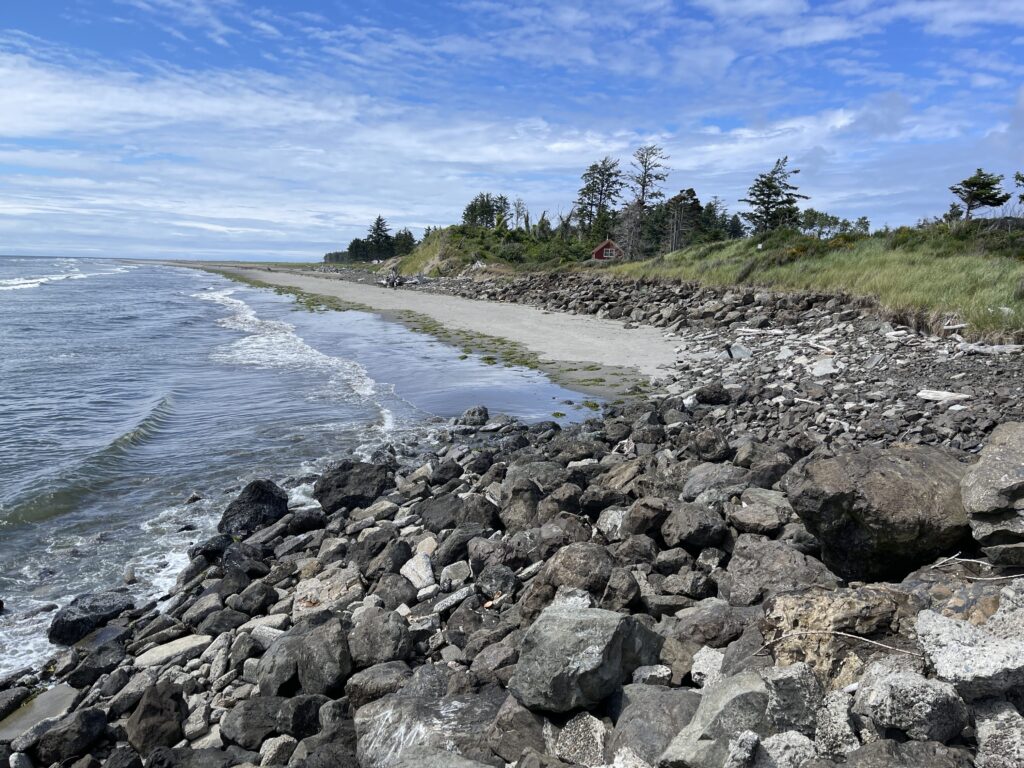 a rocky beach with trees and water (MyCoast AI)