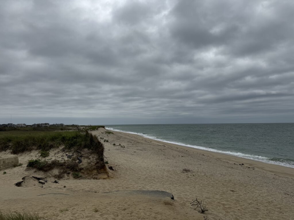 a sandy beach with a cloudy sky (MyCoast AI)