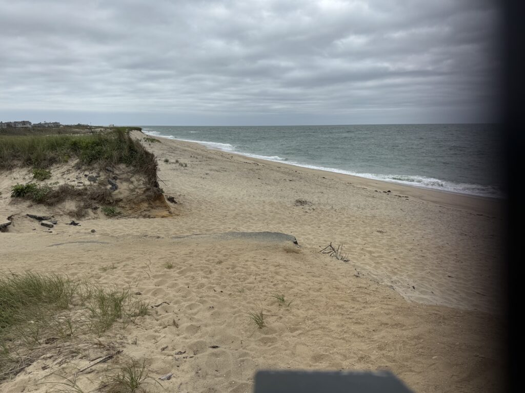 a sandy beach with waves crashing on it (MyCoast AI)