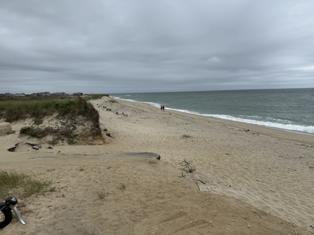 a sandy beach with a person walking on it (MyCoast AI)