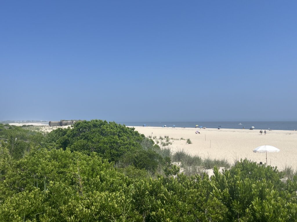 a beach with bushes and umbrellas (MyCoast AI)