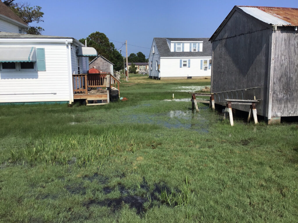 a yard with a pond and buildings (MyCoast AI)
